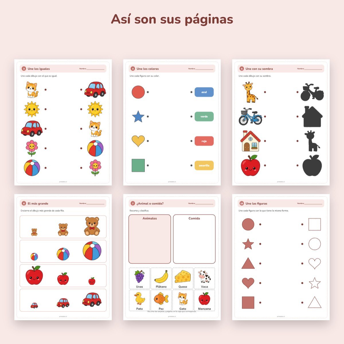Páginas de muestra: Cuaderno de apoyo: Emparejar y clasificar