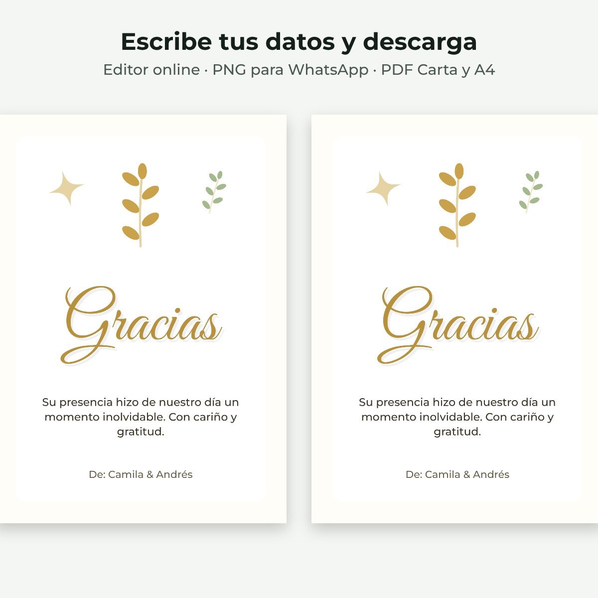 Ejemplo editable: Gracias elegante