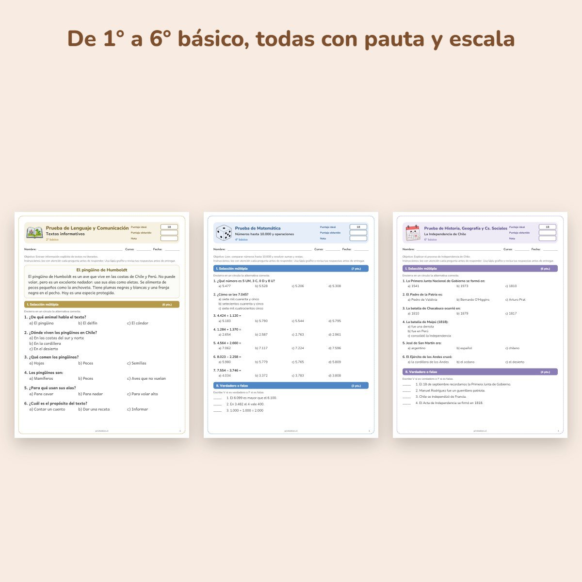 Páginas de muestra: Mega pack: 100 pruebas de 1° a 6° básico