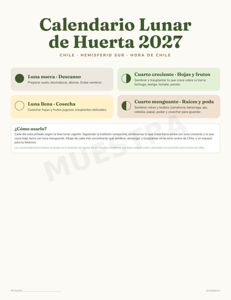 Guía de las fases lunares