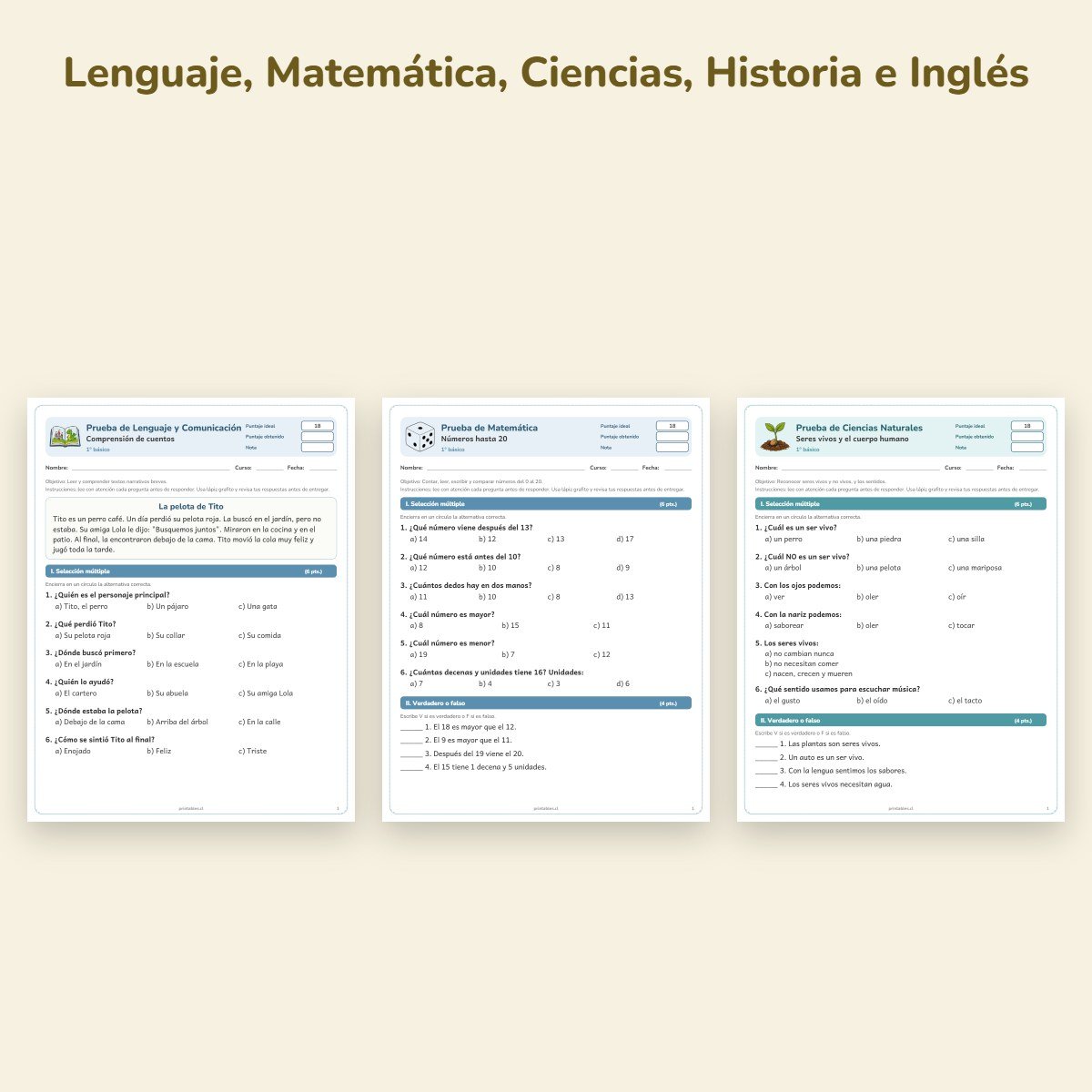 Páginas de muestra: Pack de pruebas 1° básico: 15 pruebas con pauta
