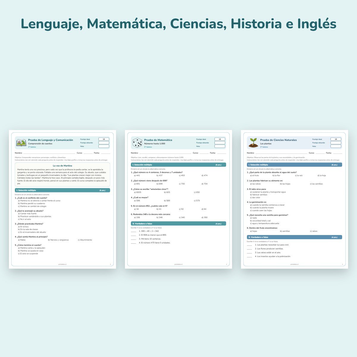 Páginas de muestra: Pack de pruebas 3° básico: 17 pruebas con pauta