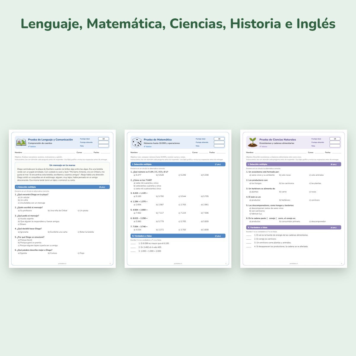 Páginas de muestra: Pack de pruebas 4° básico: 17 pruebas con pauta