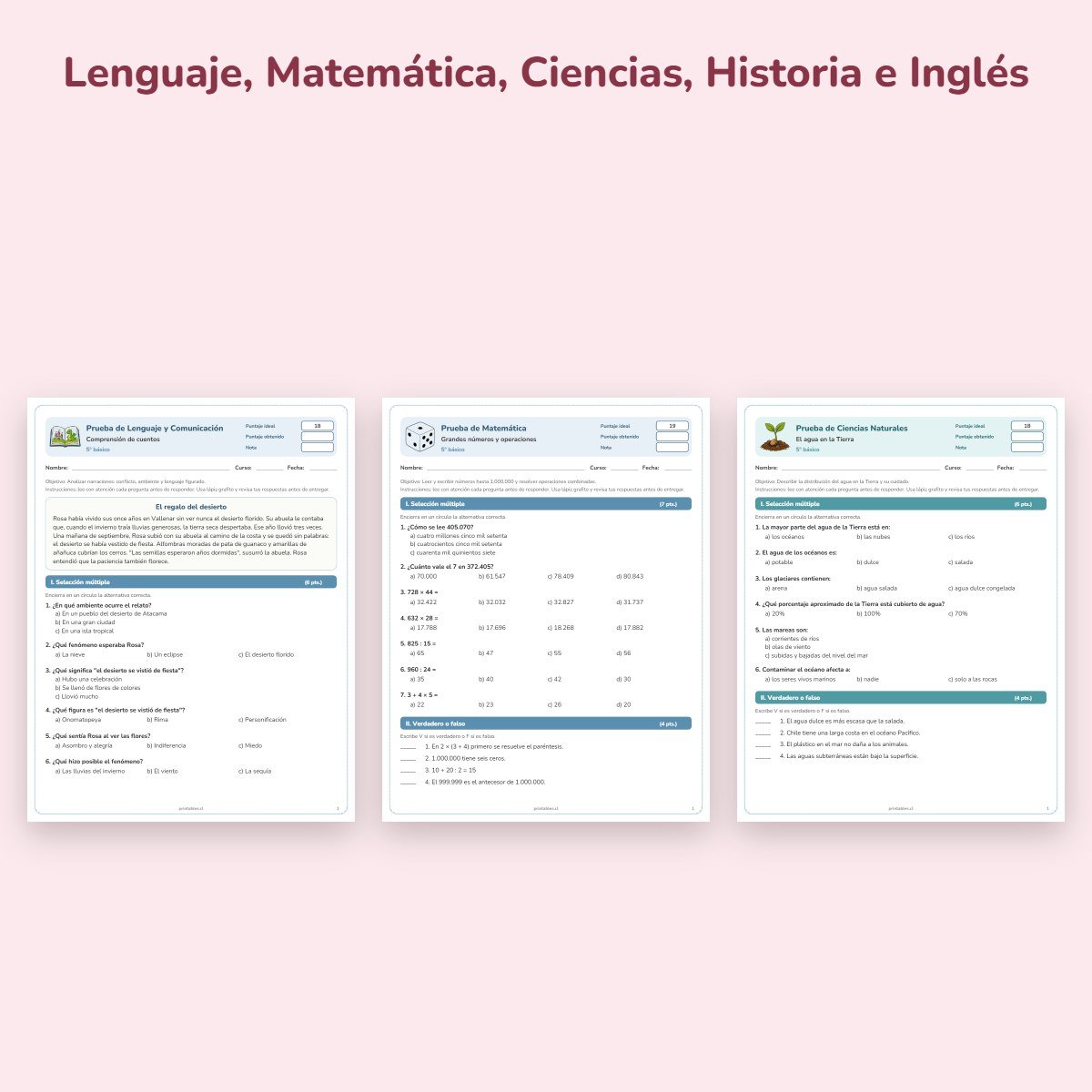 Páginas de muestra: Pack de pruebas 5° básico: 17 pruebas con pauta