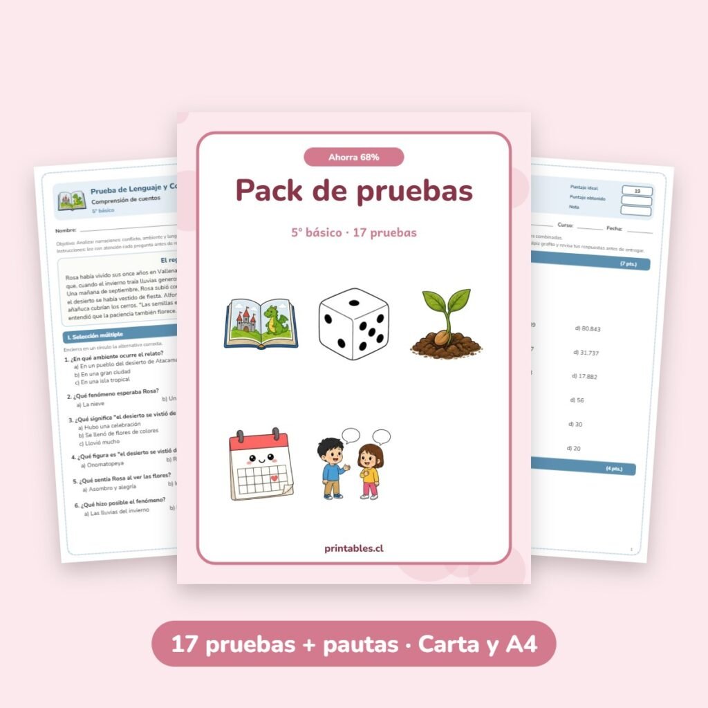 Pack de pruebas 5° básico: 17 pruebas con pauta