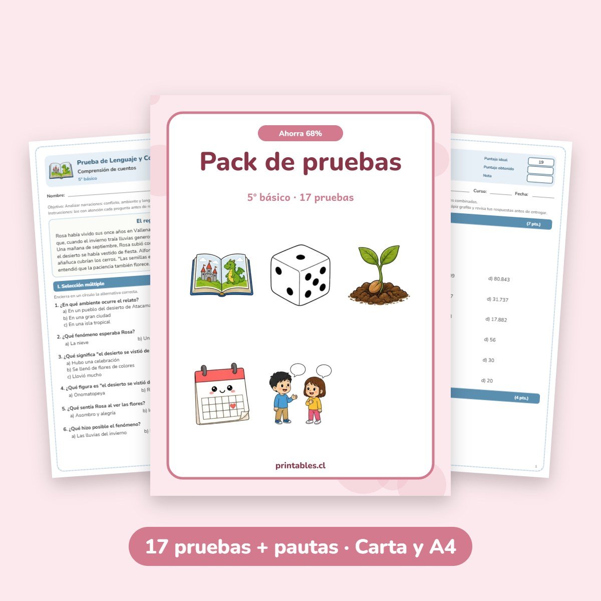 Pack de pruebas 5° básico: 17 pruebas con pauta