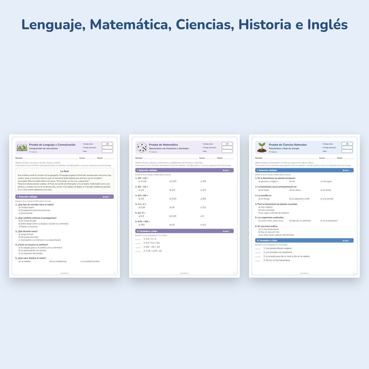 Páginas de muestra: Pack de pruebas 6° básico: 17 pruebas con pauta