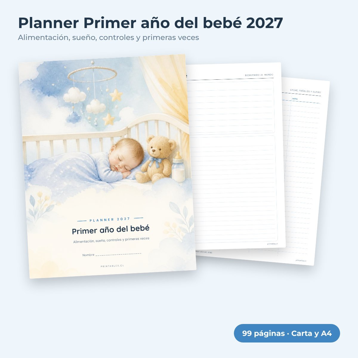 Planner Primer año del bebé 2027 imprimible