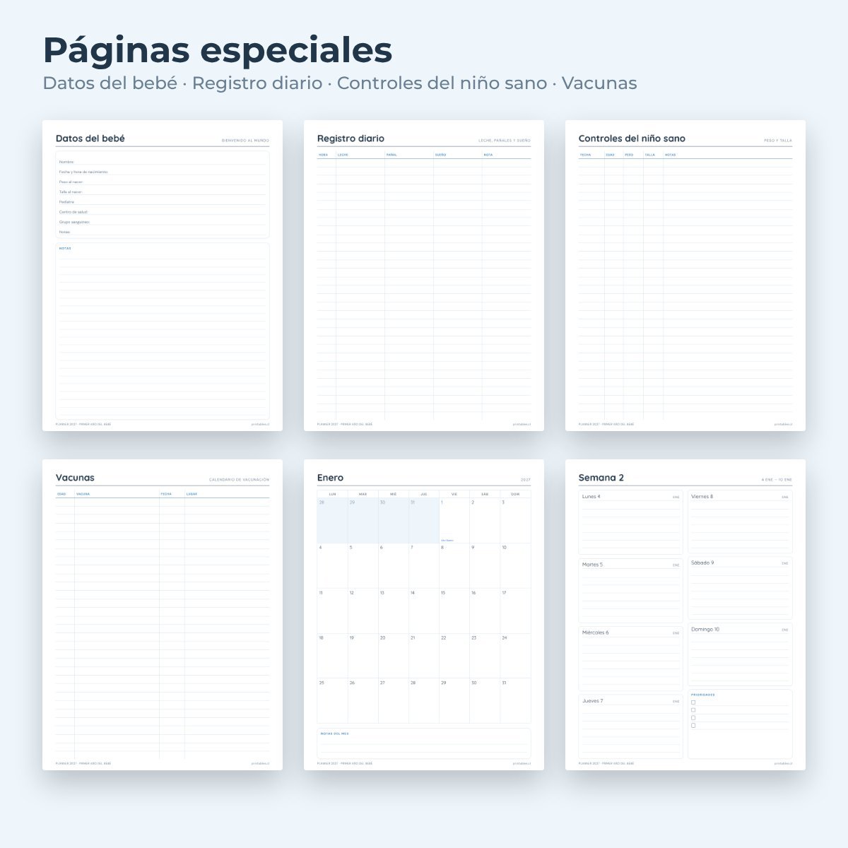 Páginas especiales del Planner Primer año del bebé 2027
