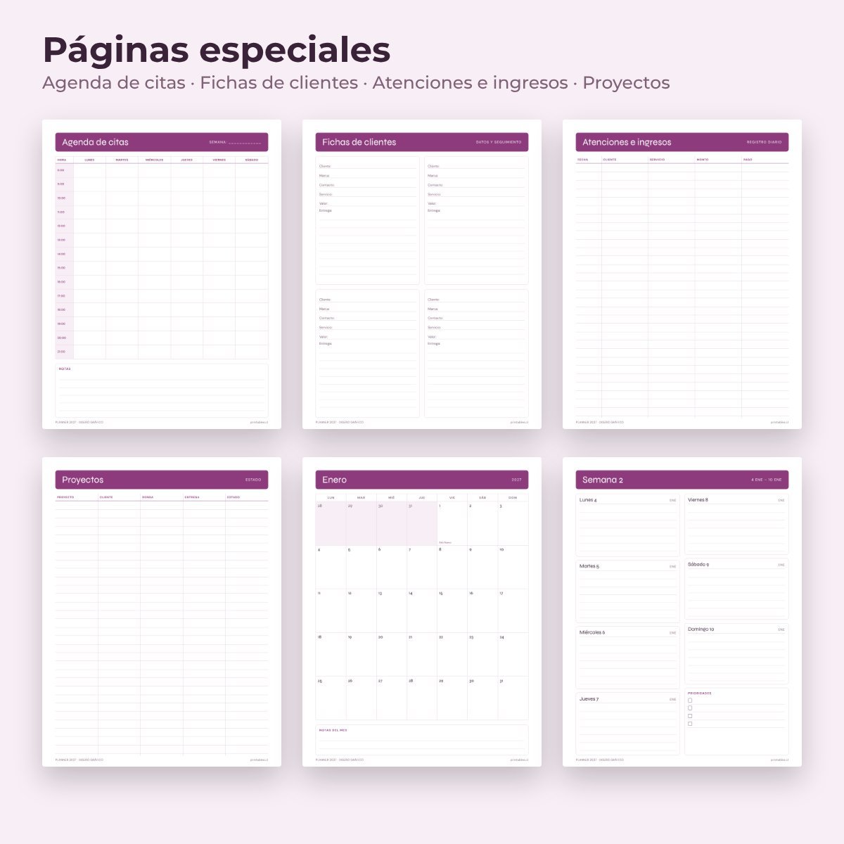 Páginas especiales del Planner Diseño gráfico 2027