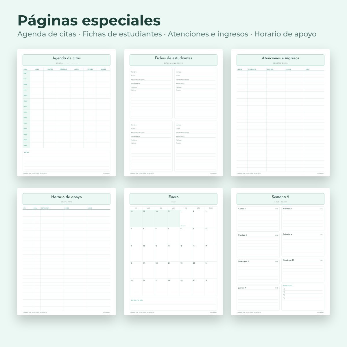 Páginas especiales del Planner Educación diferencial 2027