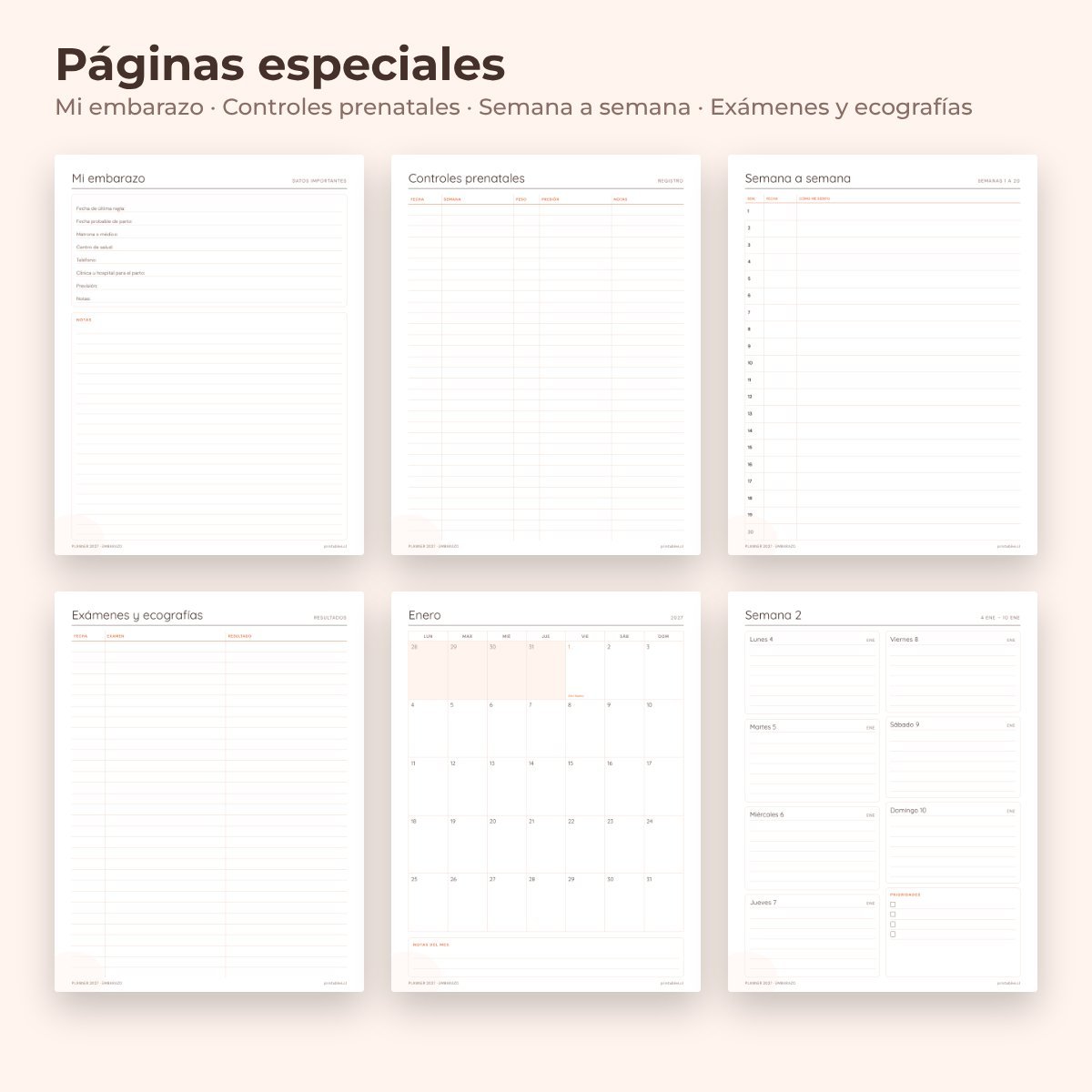 Páginas especiales del Planner Embarazo 2027