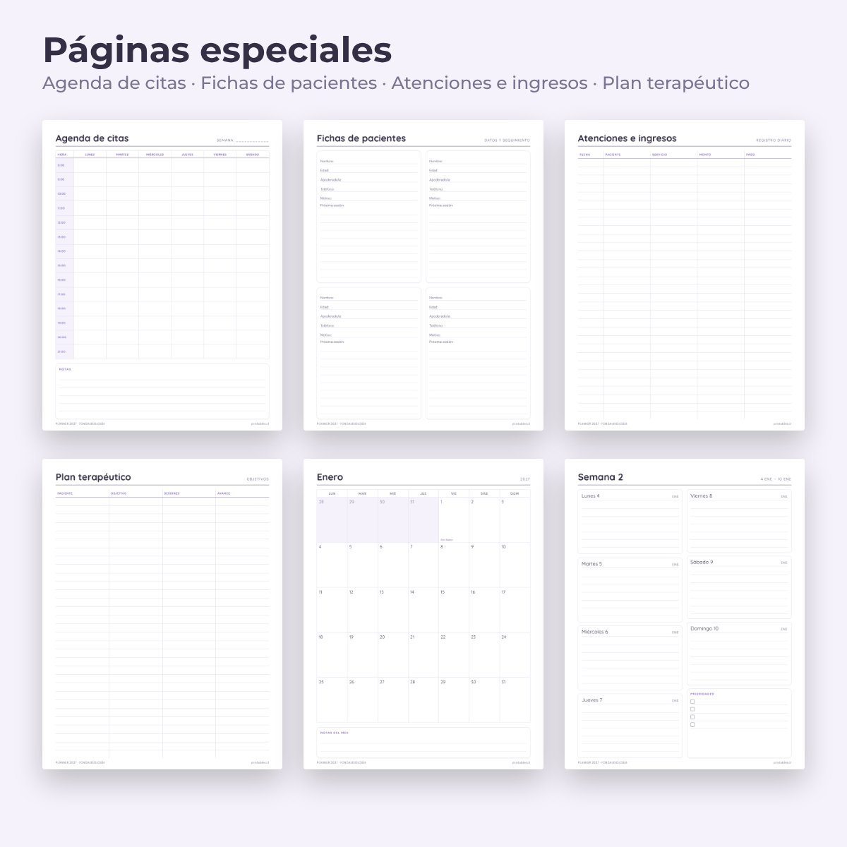Páginas especiales del Planner Fonoaudiología 2027
