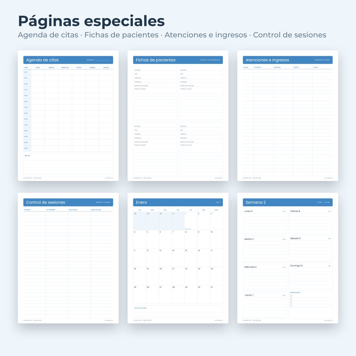 Páginas especiales del Planner Kinesiología 2027