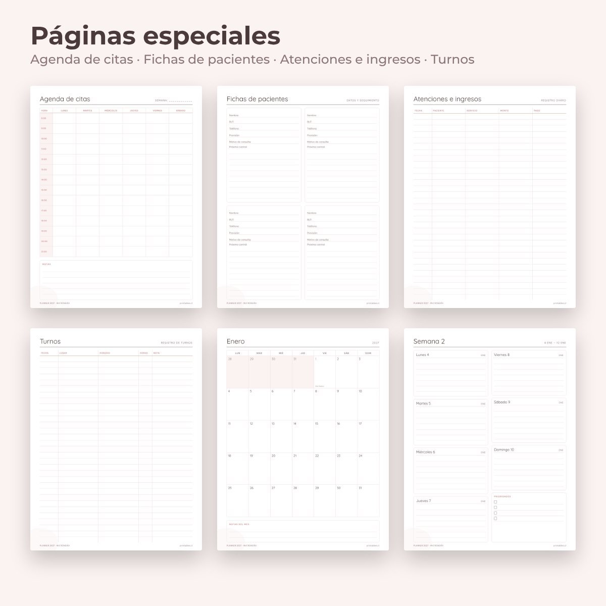 Páginas especiales del Planner Matronería 2027