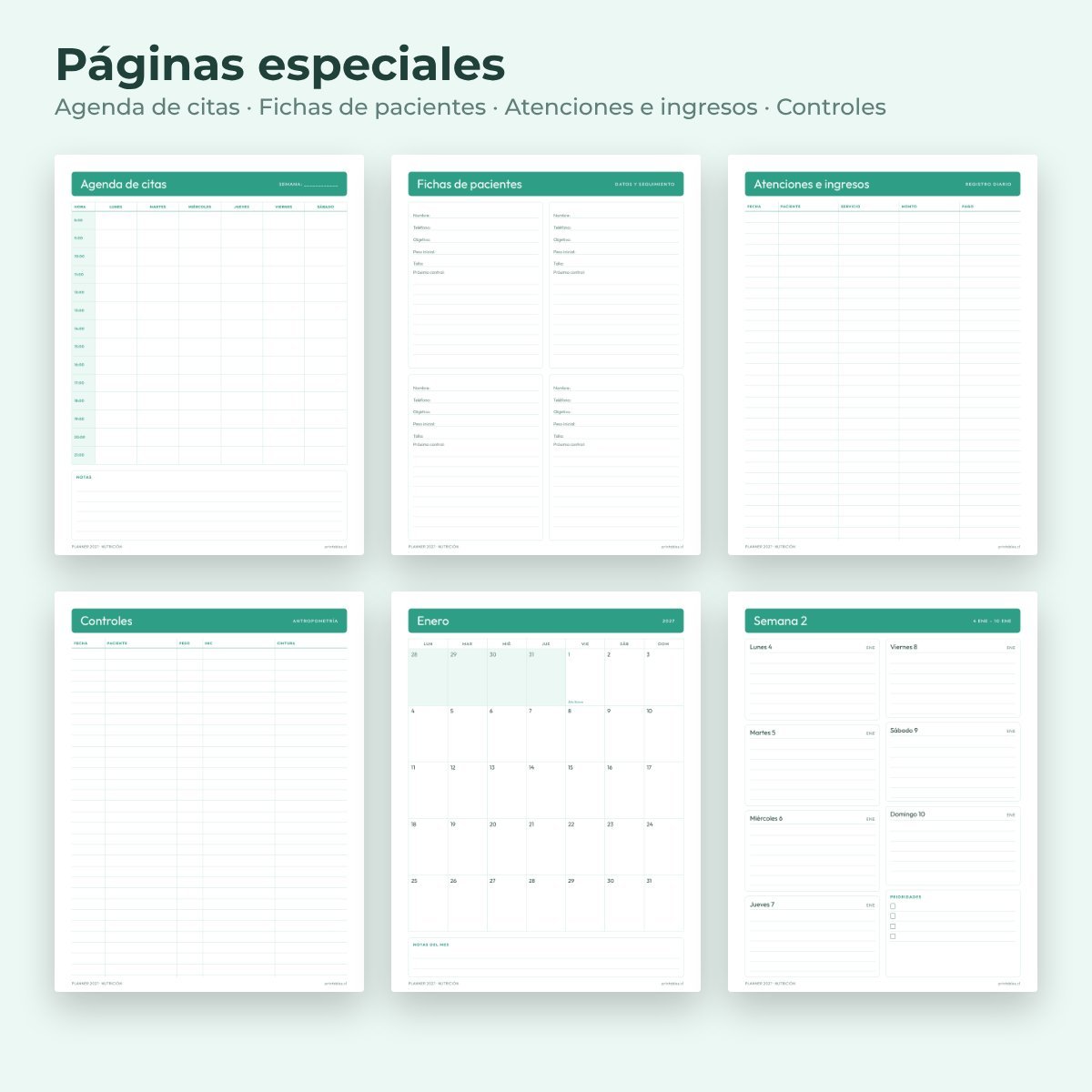Páginas especiales del Planner Nutrición 2027