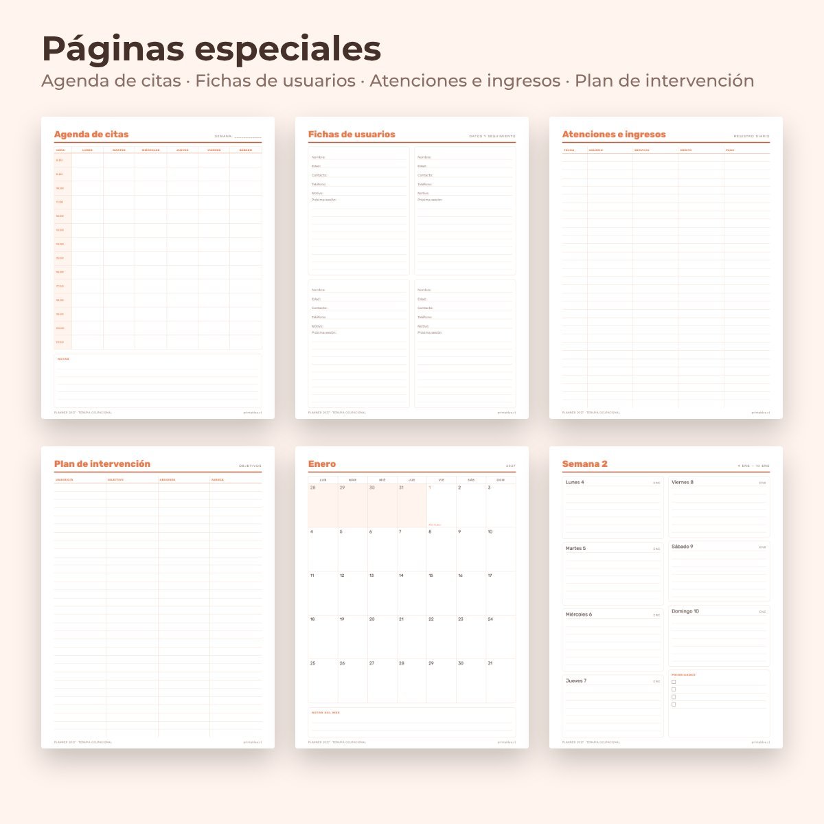 Páginas especiales del Planner Terapia ocupacional 2027