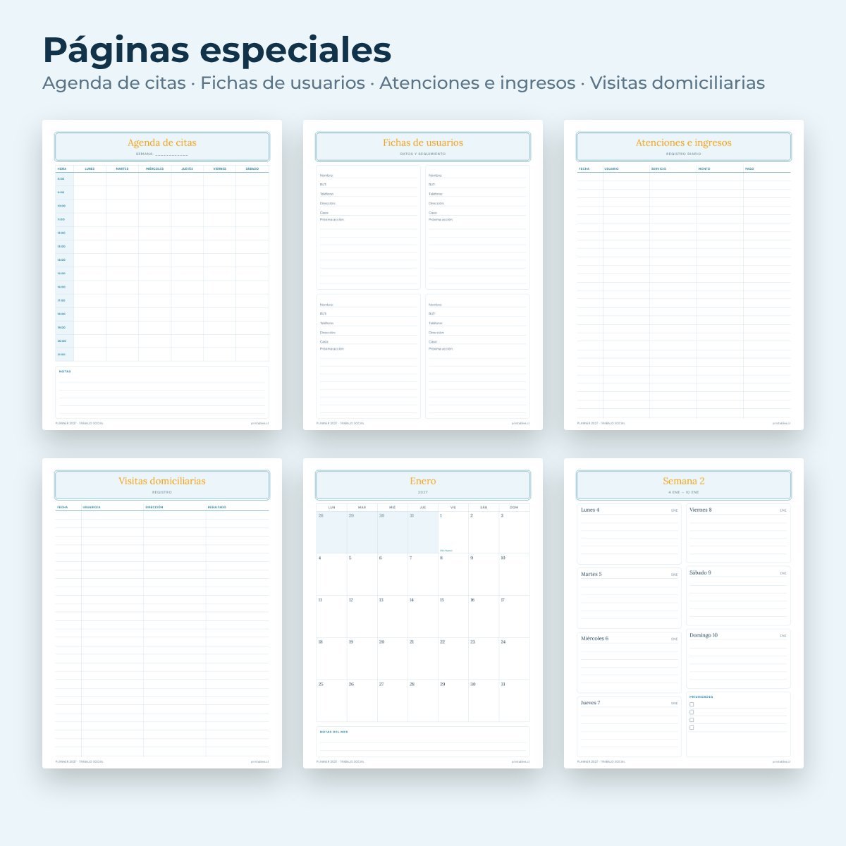 Páginas especiales del Planner Trabajo social 2027