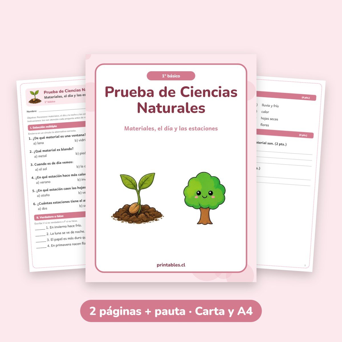 Prueba de Ciencias Naturales 1° básico: Materiales, el día y las estaciones
