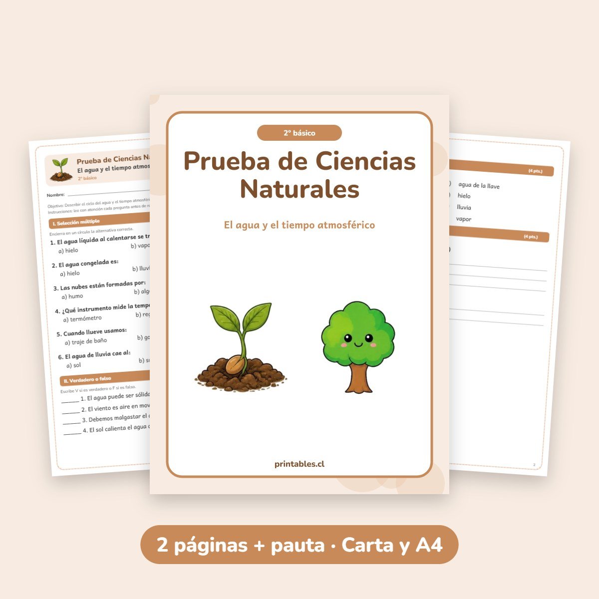 Prueba de Ciencias Naturales 2° básico: El agua y el tiempo atmosférico