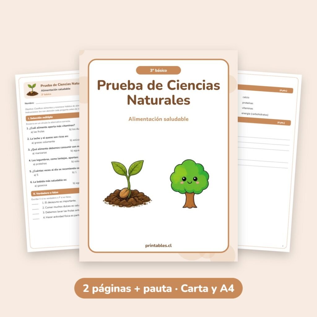 Prueba de Ciencias Naturales 3° básico: Alimentación saludable