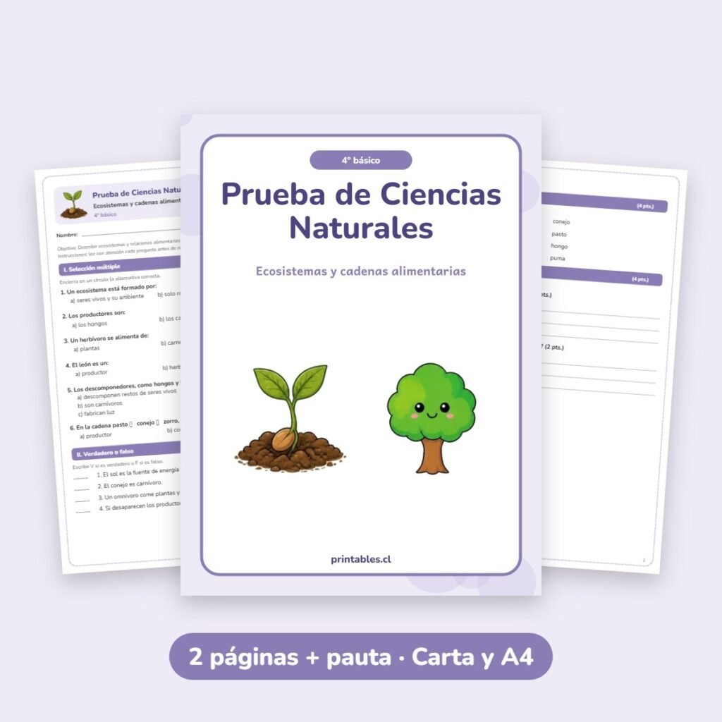 Prueba de Ciencias Naturales 4° básico: Ecosistemas y cadenas alimentarias