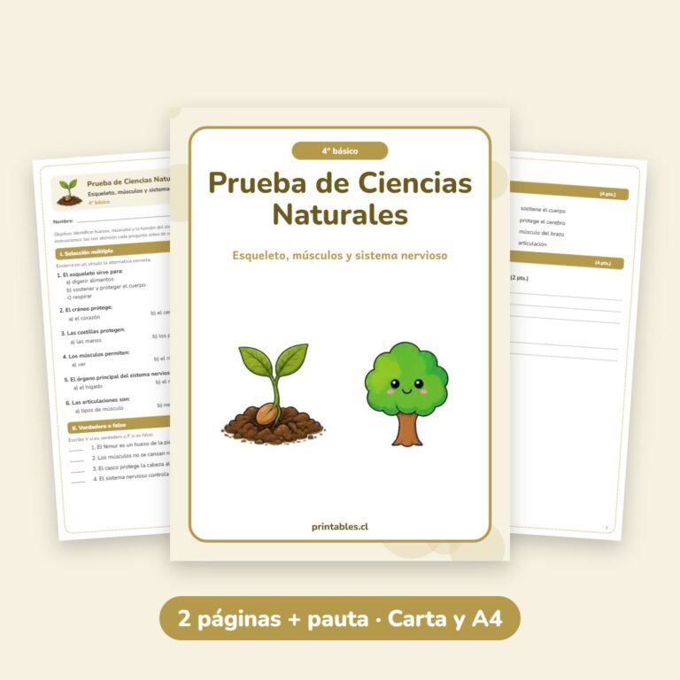 Ciencias Naturales: Esqueleto, músculos y sistema nervioso