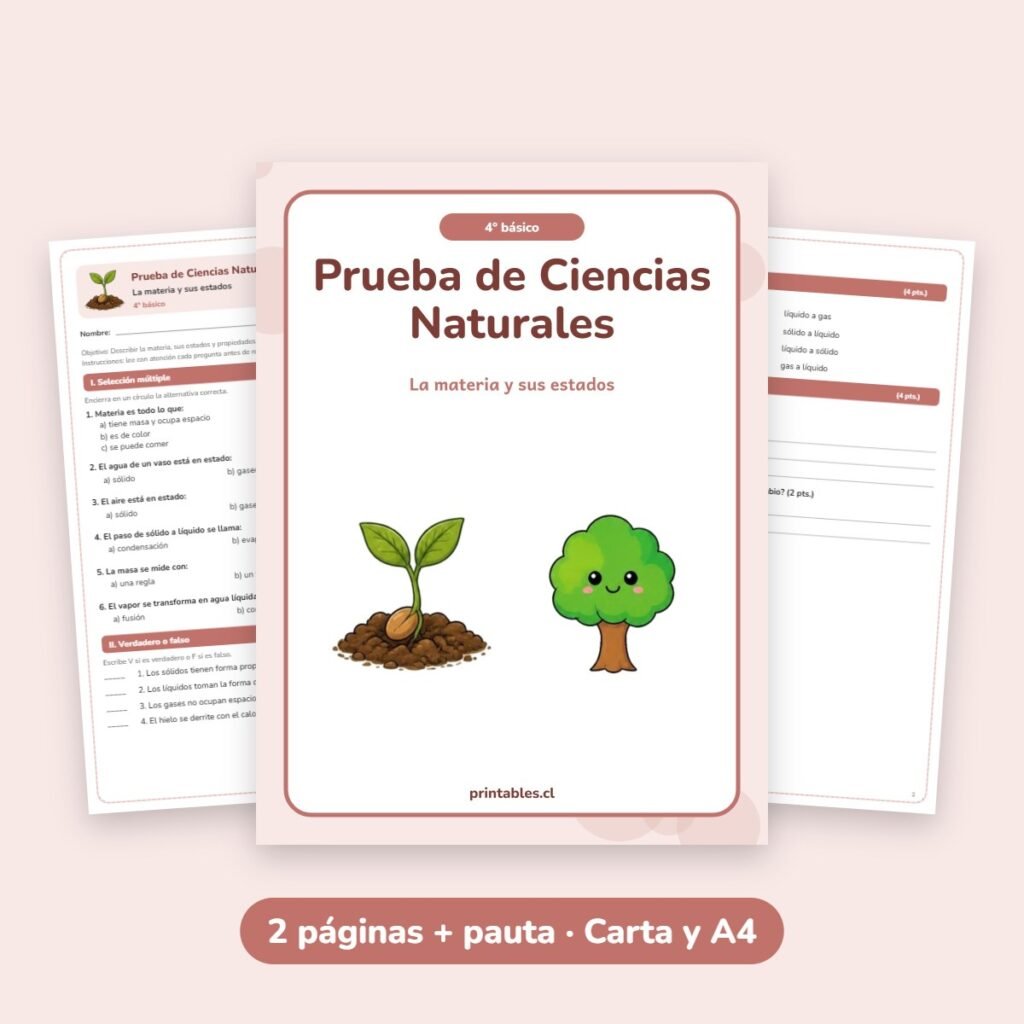 Prueba de Ciencias Naturales 4° básico: La materia y sus estados