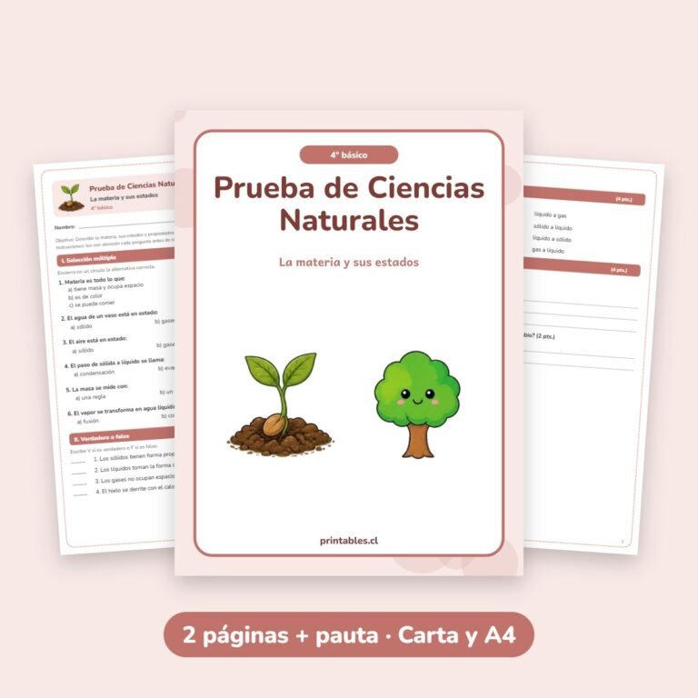 Ciencias Naturales: La materia y sus estados