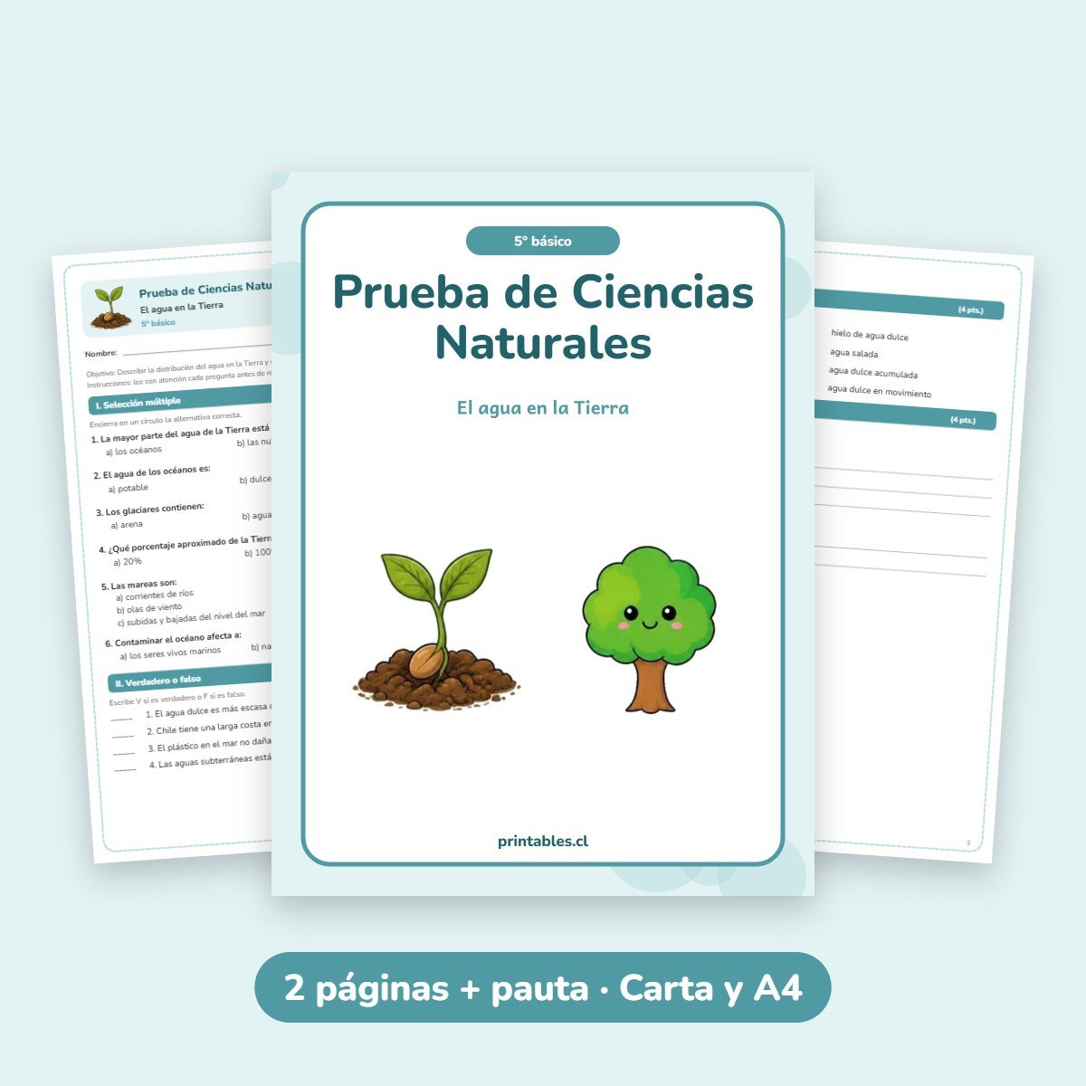 Prueba de Ciencias Naturales 5° básico: El agua en la Tierra