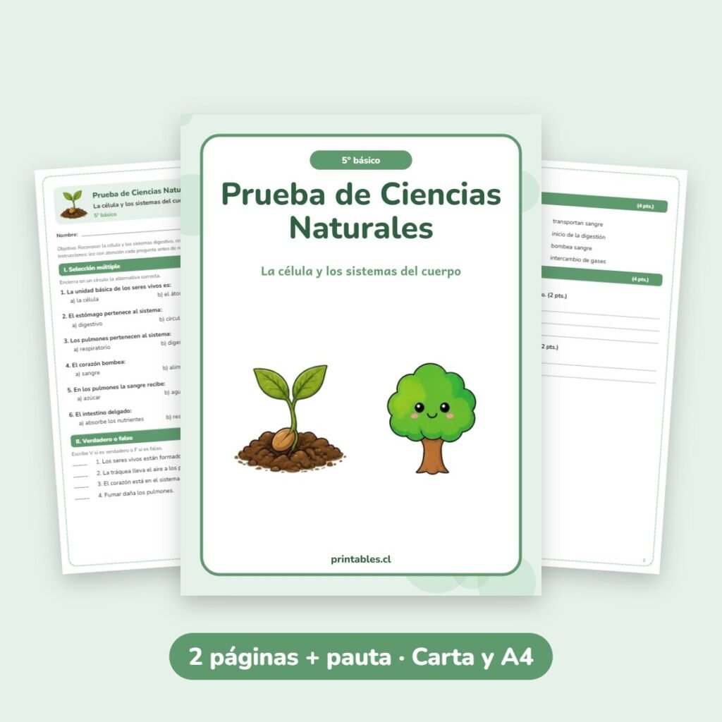 Prueba de Ciencias Naturales 5° básico: La célula y los sistemas del cuerpo