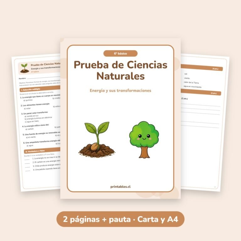 Ciencias Naturales: Energía y sus transformaciones