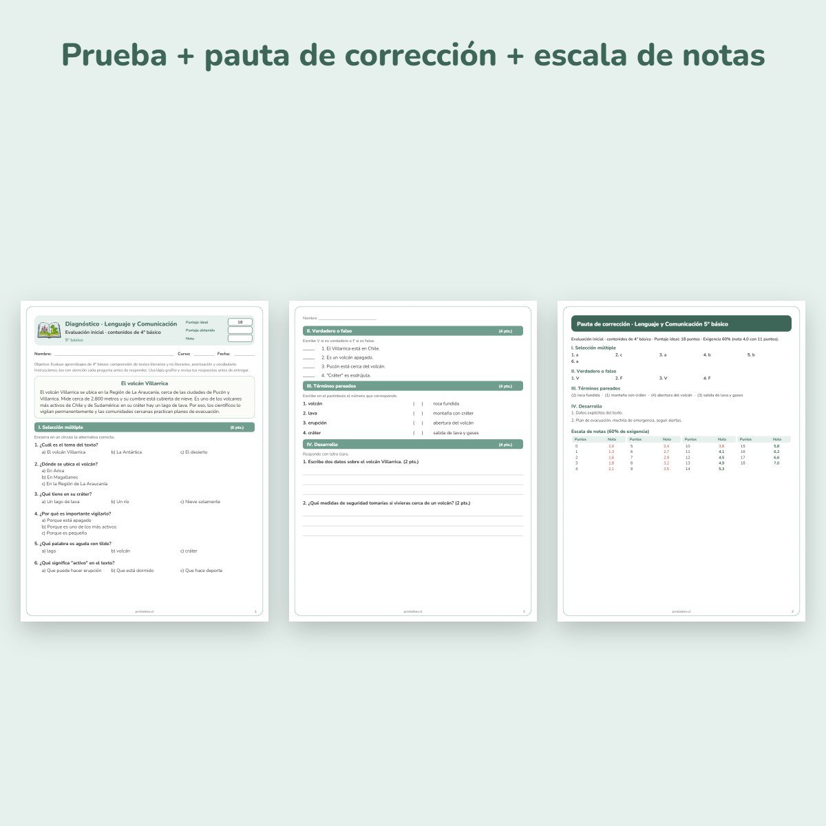 Páginas de muestra: Prueba de diagnóstico Lenguaje 5° básico