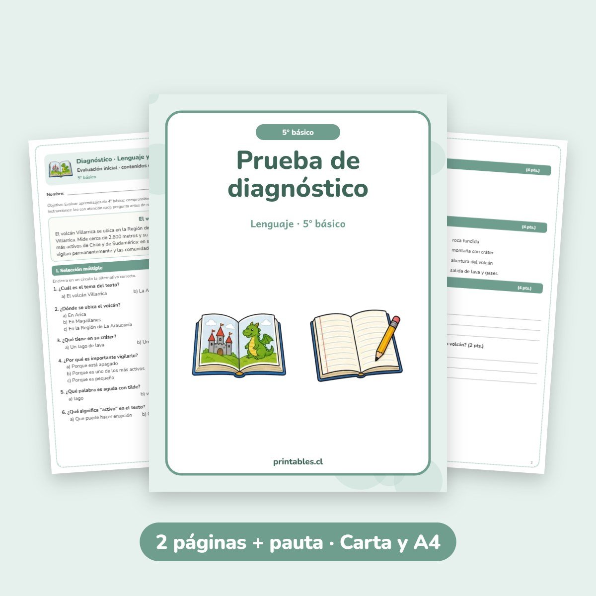 Prueba de diagnóstico Lenguaje 5° básico