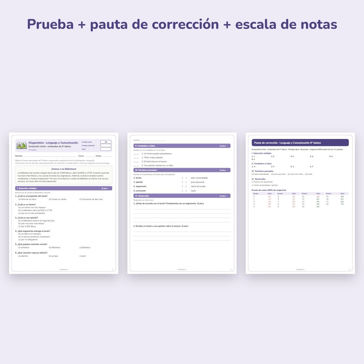 Páginas de muestra: Prueba de diagnóstico Lenguaje 6° básico