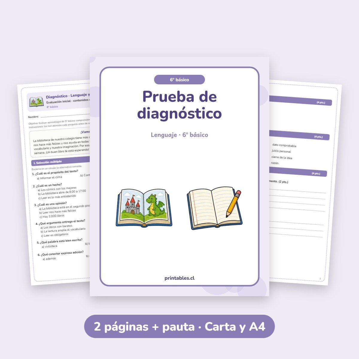 Prueba de diagnóstico Lenguaje 6° básico