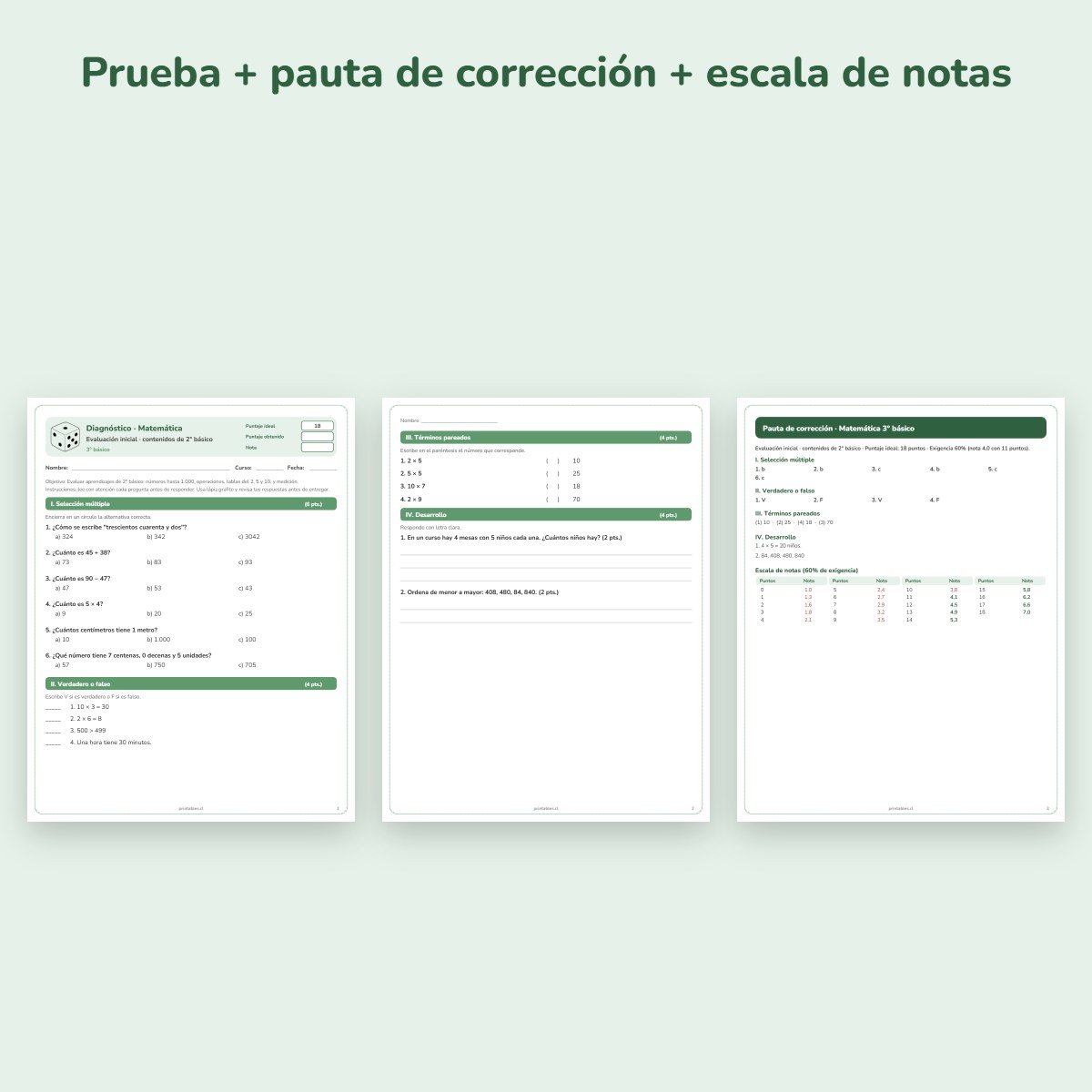 Páginas de muestra: Prueba de diagnóstico Matemática 3° básico