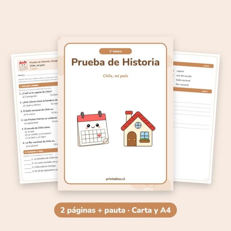Historia: Chile, mi país