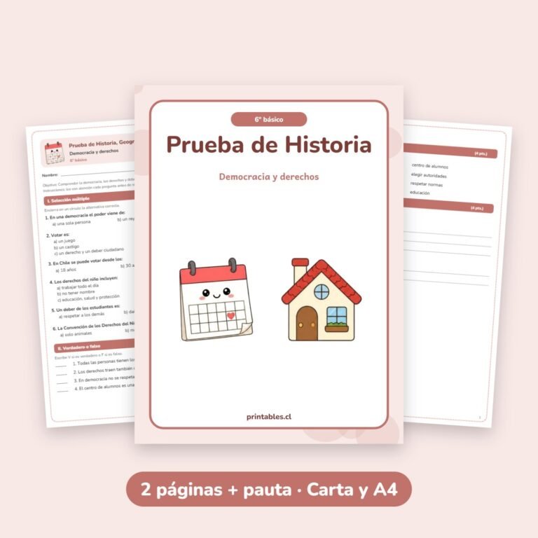 Historia: Democracia y derechos