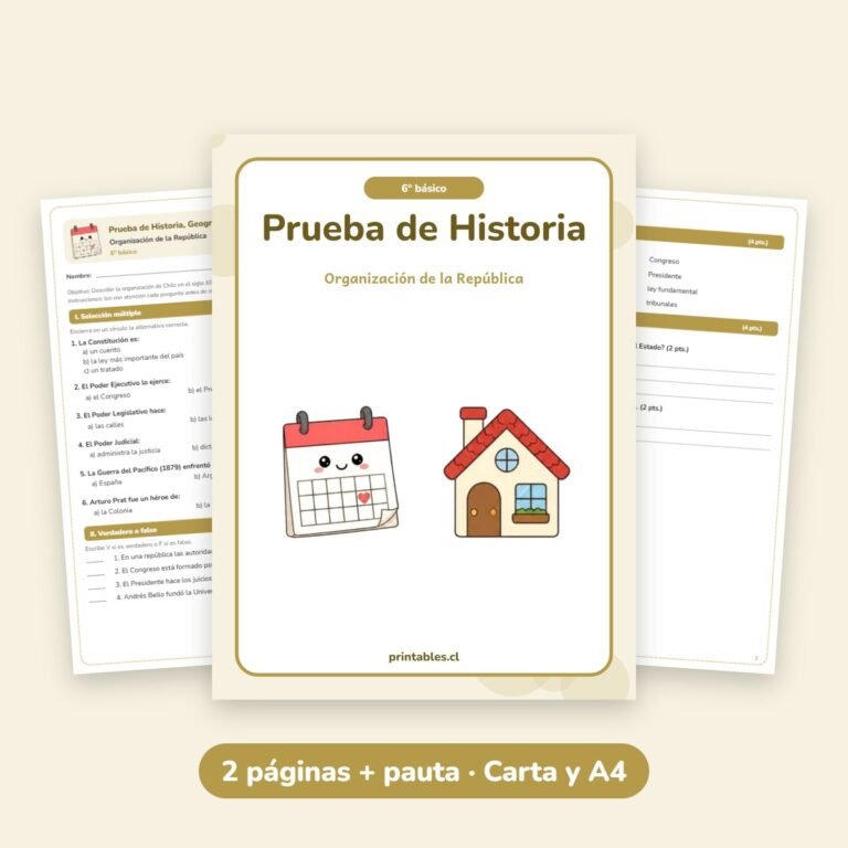 Historia: Organización de la República