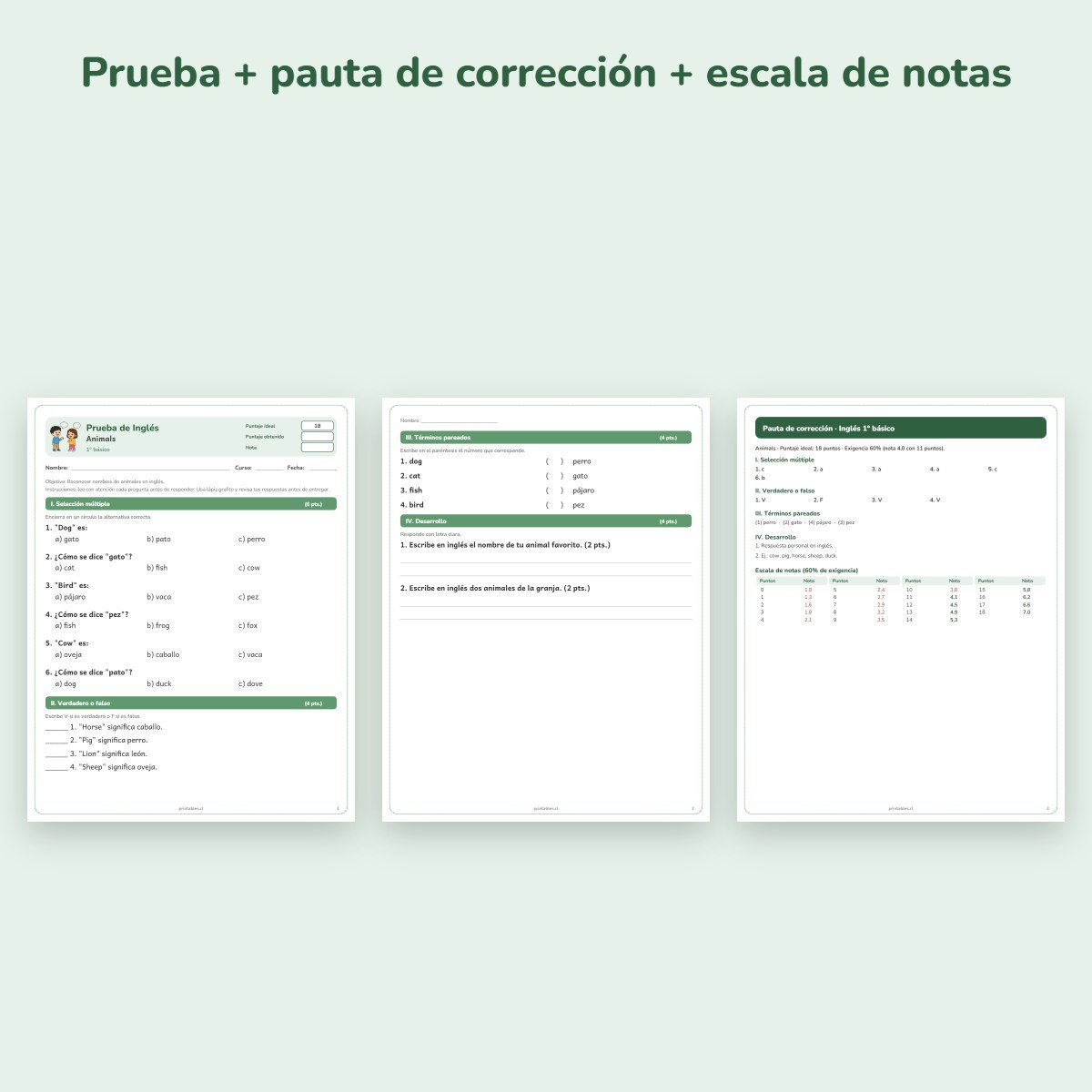 Páginas de muestra: Prueba de Inglés 1° básico: Animals
