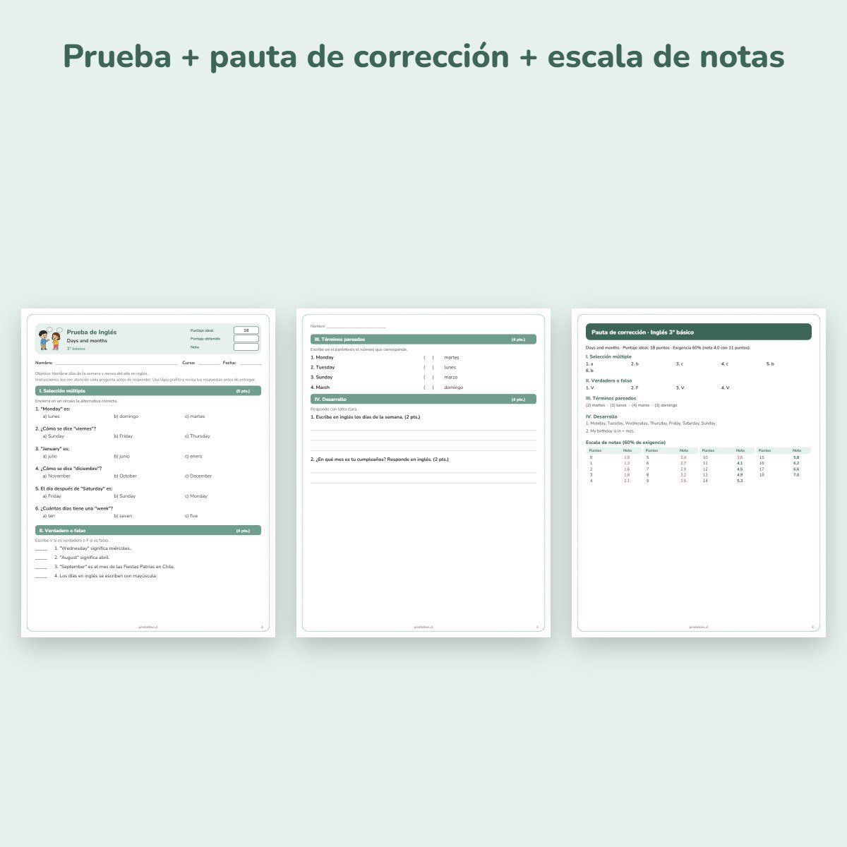 Páginas de muestra: Prueba de Inglés 3° básico: Days and months