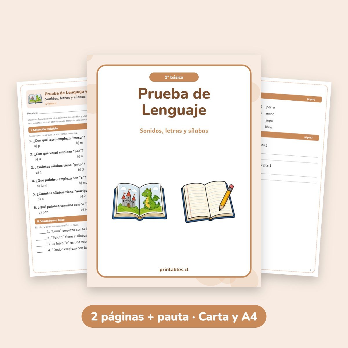 Prueba de Lenguaje 1° básico: Sonidos, letras y sílabas