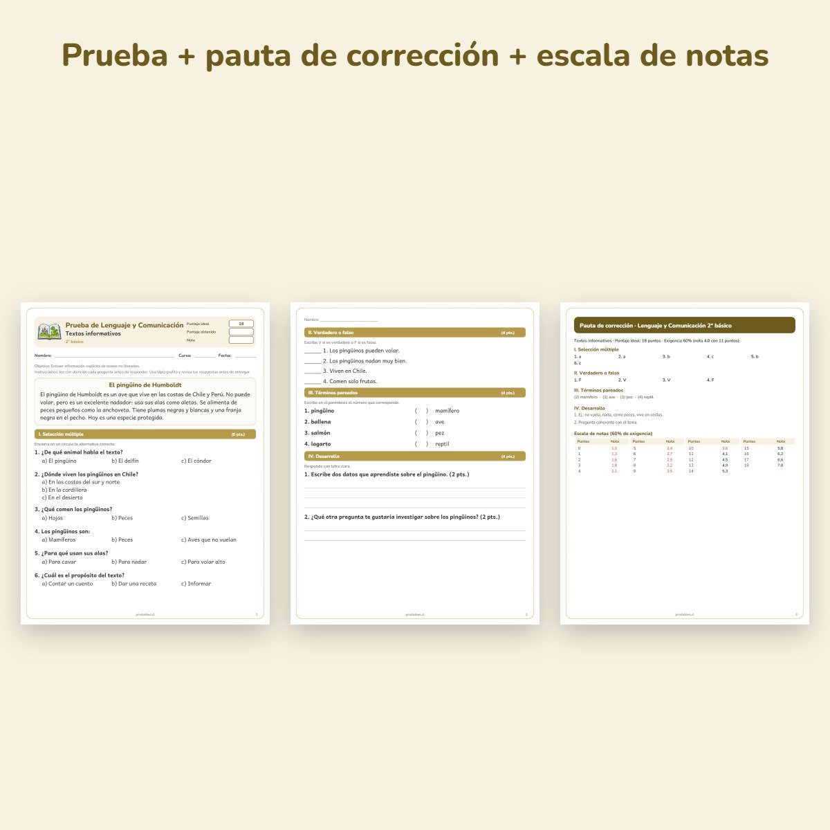 Páginas de muestra: Prueba de Lenguaje 2° básico: Textos informativos