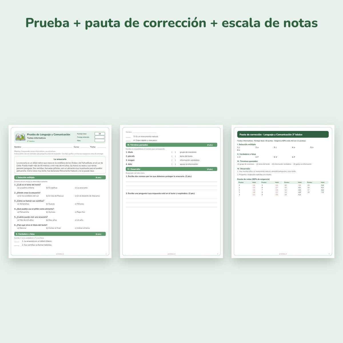 Páginas de muestra: Prueba de Lenguaje 3° básico: Textos informativos