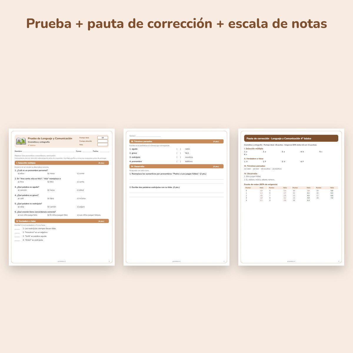 Páginas de muestra: Prueba de Lenguaje 4° básico: Gramática y ortografía
