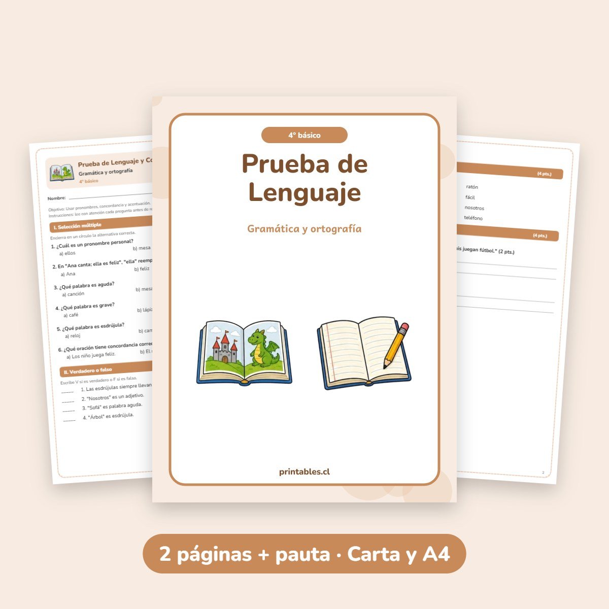 Prueba de Lenguaje 4° básico: Gramática y ortografía