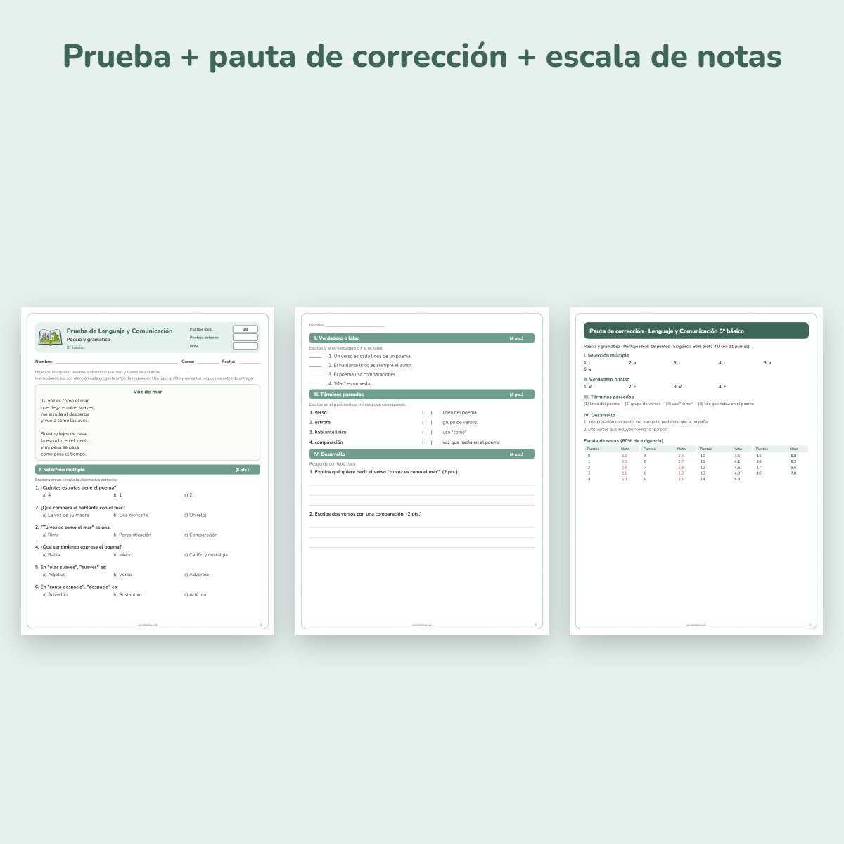 Páginas de muestra: Prueba de Lenguaje 5° básico: Poesía y gramática