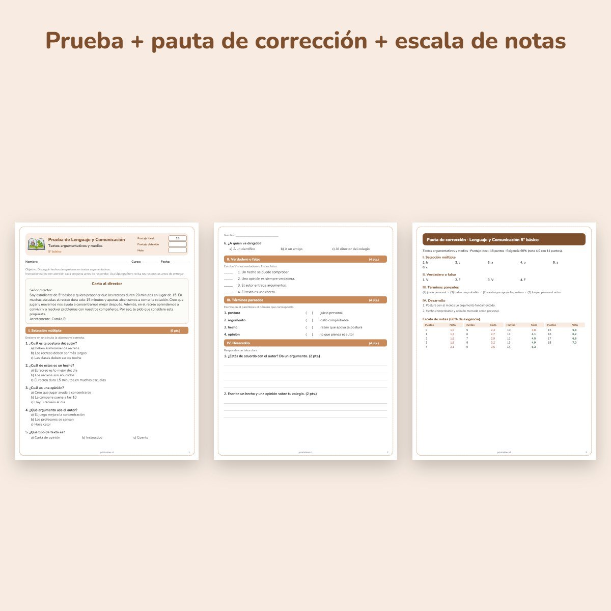 Páginas de muestra: Prueba de Lenguaje 5° básico: Textos argumentativos y medios