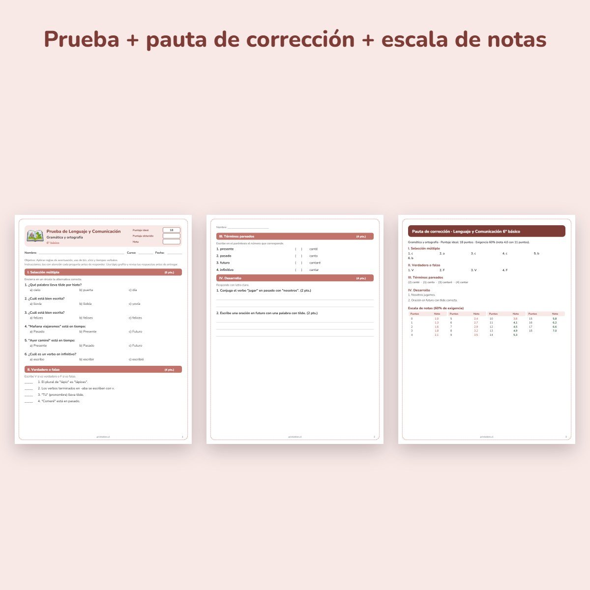 Páginas de muestra: Prueba de Lenguaje 6° básico: Gramática y ortografía